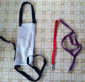 Dog sling, leash, harness