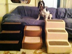 3 models of dog stairs